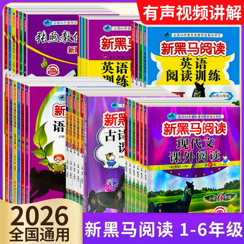 新黑马阅读123456年级专项训练