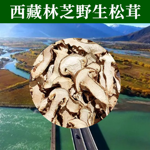 西藏松茸正宗野生林芝松茸菌干货巴松措鲁朗波密特产一斤顺丰包邮