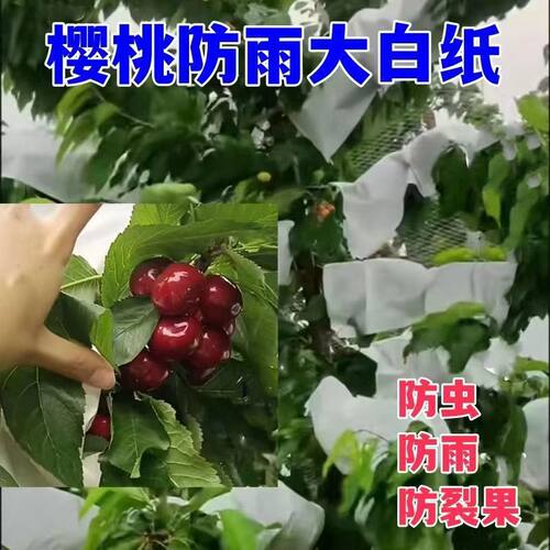 樱桃车厘子专用防水防雨防裂纸