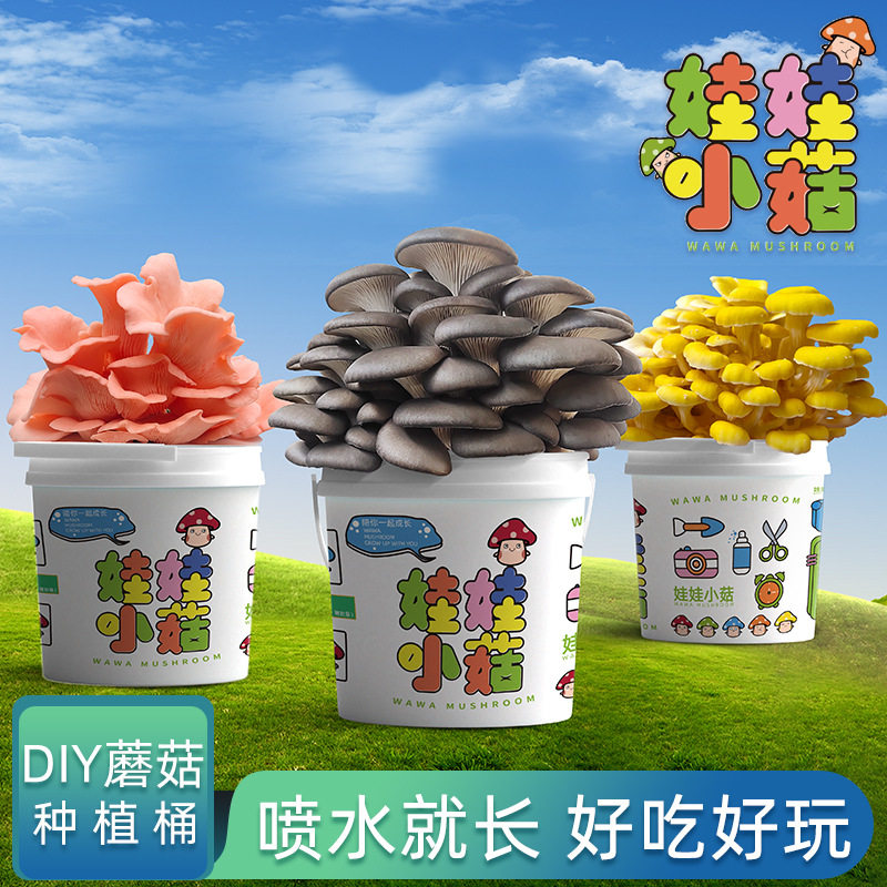 蘑菇盆栽种植桶装趣味阳台儿童DIY平菇养殖食用菌包盒子棒家庭