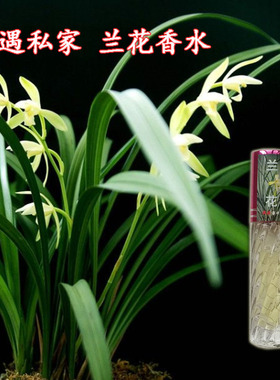 兰草花味香水持久清新淡雅香水