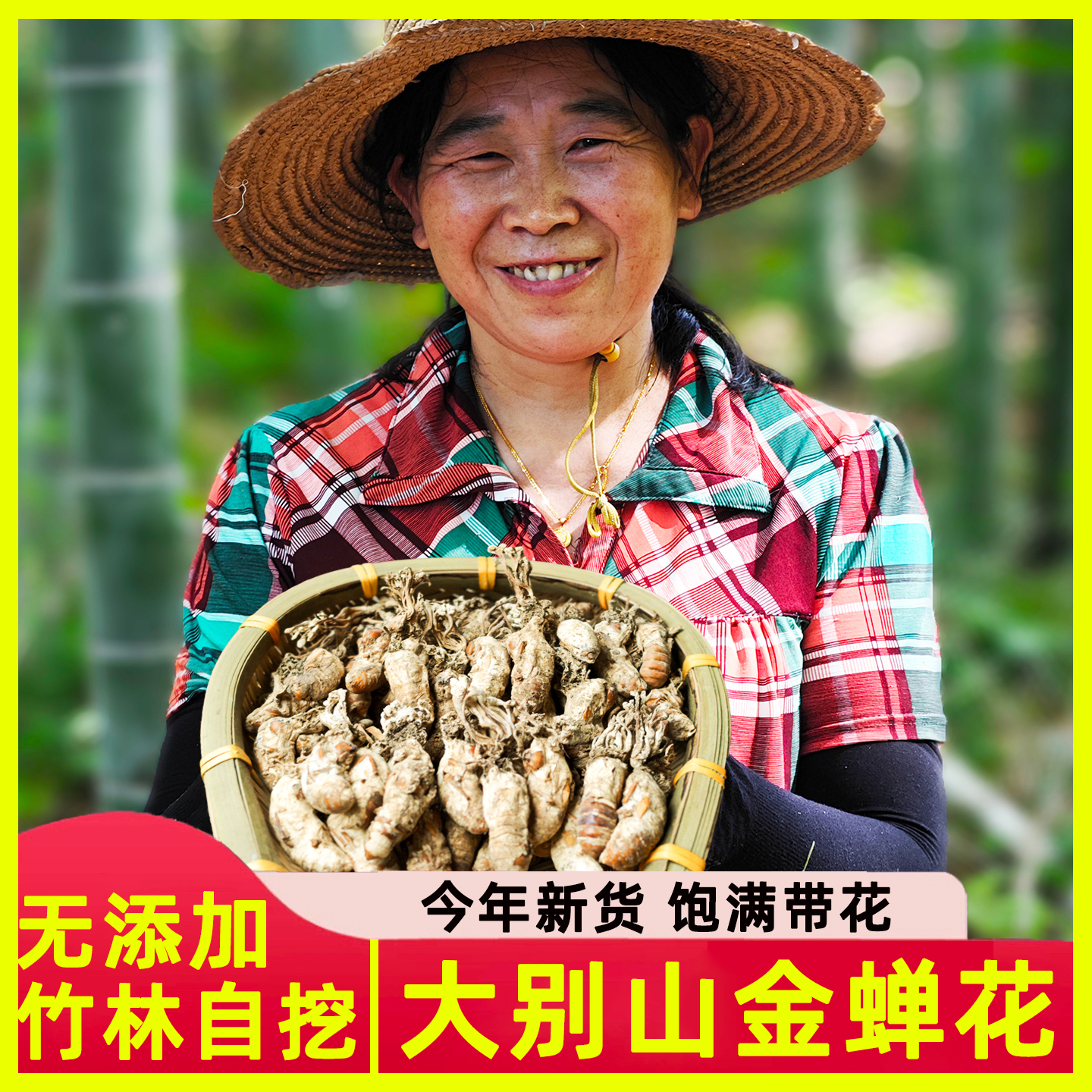 大别山野生金蝉花金蚕知了花新货