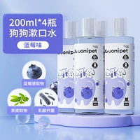 [Предпочтительные чулки] Вкус черники 800 мл для собак (4 бутылки)