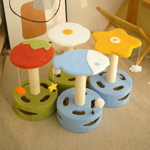 Котенок кошка скалолаза