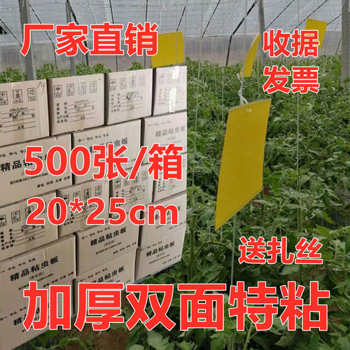 双面特粘飞虫针锋茶园花卉黄板