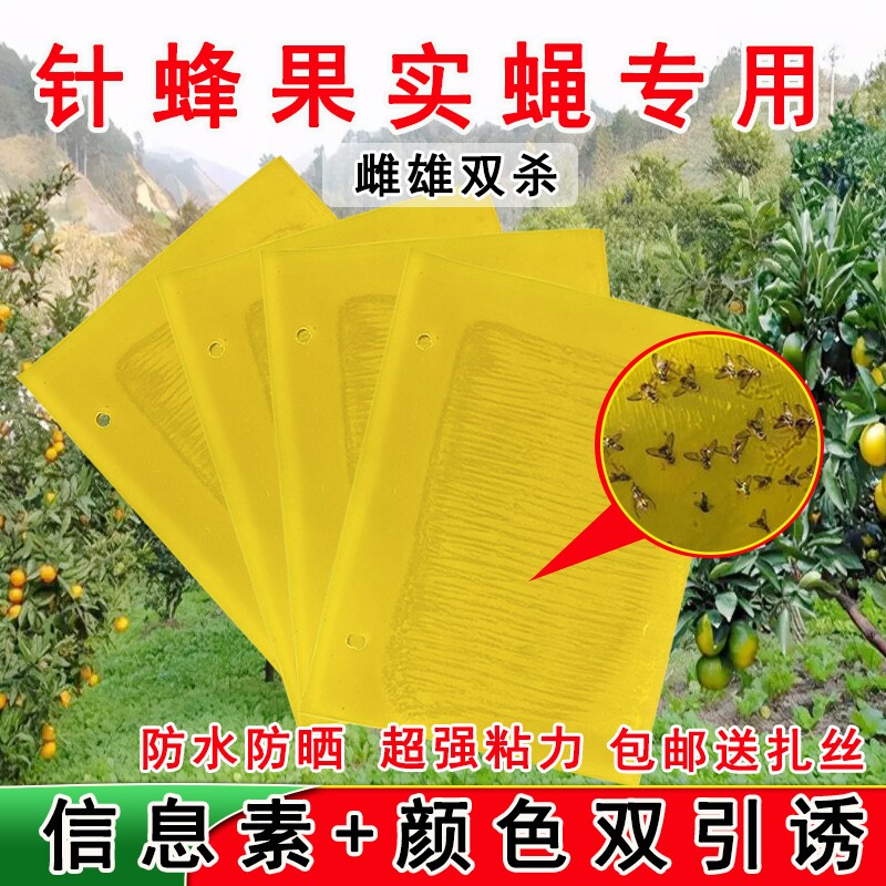 针蜂果蝇大小实蝇粘虫板防水防晒
