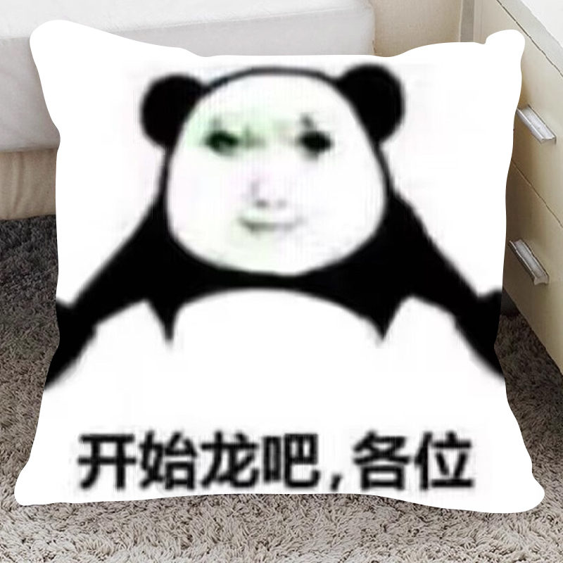 龙图抱枕搞笑表情包枕头宿舍床头午睡龙年靠枕靠垫学生日礼物定制