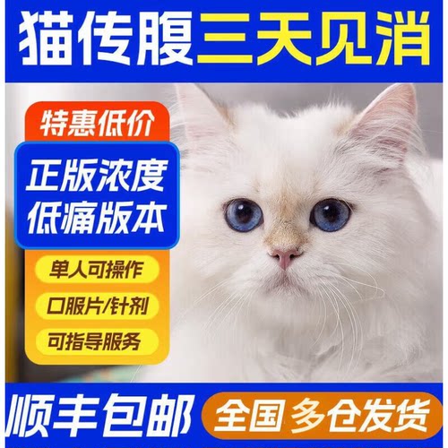 猫传腹针剂片剂腹水专用