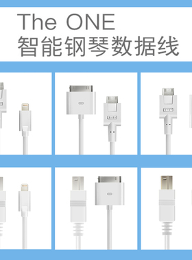 theone智能钢琴数据线TheONE适用于苹果手机iPad安卓type-c连接线