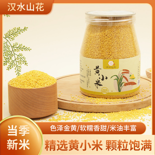 黄小米新米新鲜农家优质月子米脂杂粮粗粮800g