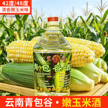 云南青包谷酒42度48度桶装包谷酒嫩玉米酒苞谷露酒散装农家自酿