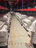 儿童衣服胖哥直播间童装 付款 链接15