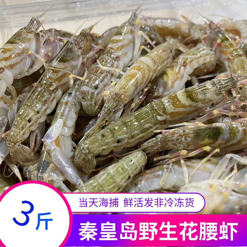 新鲜活虾渤海湾特产油炸生呛炒菜