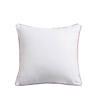 抱枕芯内胆枕芯沙发靠垫芯内芯45 50 55 60床头枕头长方形靠枕芯