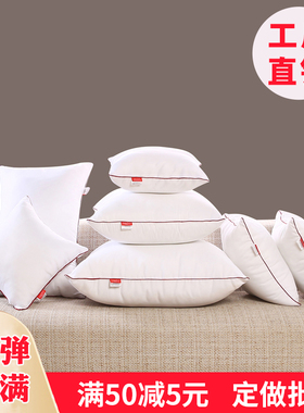 抱枕芯内胆芯内芯靠垫芯45x45cm抱枕心50x50沙发客厅靠背芯靠枕芯
