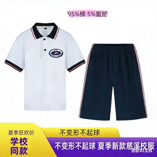 慈溪小学生校服学校同款夏装纯棉短袖海真滨海校区碧海小学裤子