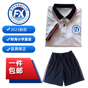 慈溪市附海镇中心小学校服慈溪学校同款校服夏装纯棉短袖上衣班服