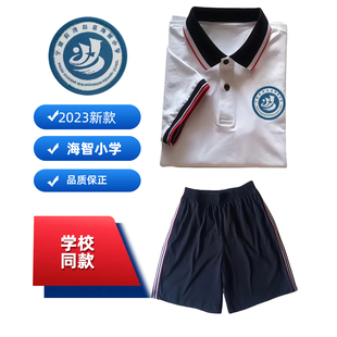 宁波前湾新区海智小学校服纯棉短袖夏季上衣学校男女同款运动套装
