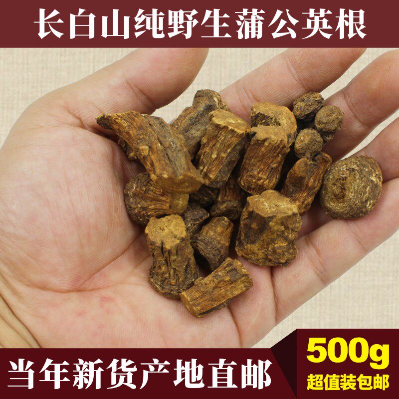 蒲公英根正品野生长白山特炒蒲公英根茶中药材婆婆丁苦丁茶500g级