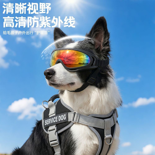 宠物护目镜拍照墨镜遮阳防风沙