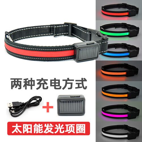 狗狗发光项圈3个月内坏免费换新