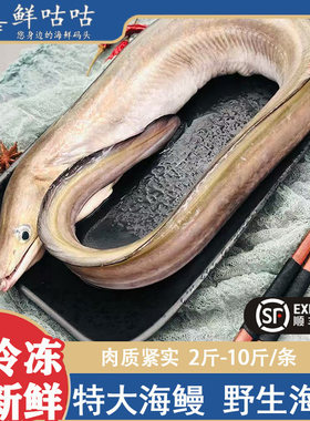 特大海鳗鳗鱼 野生 整条新鲜发货 冰鲜非冷宁波舟山东海海鲜水产
