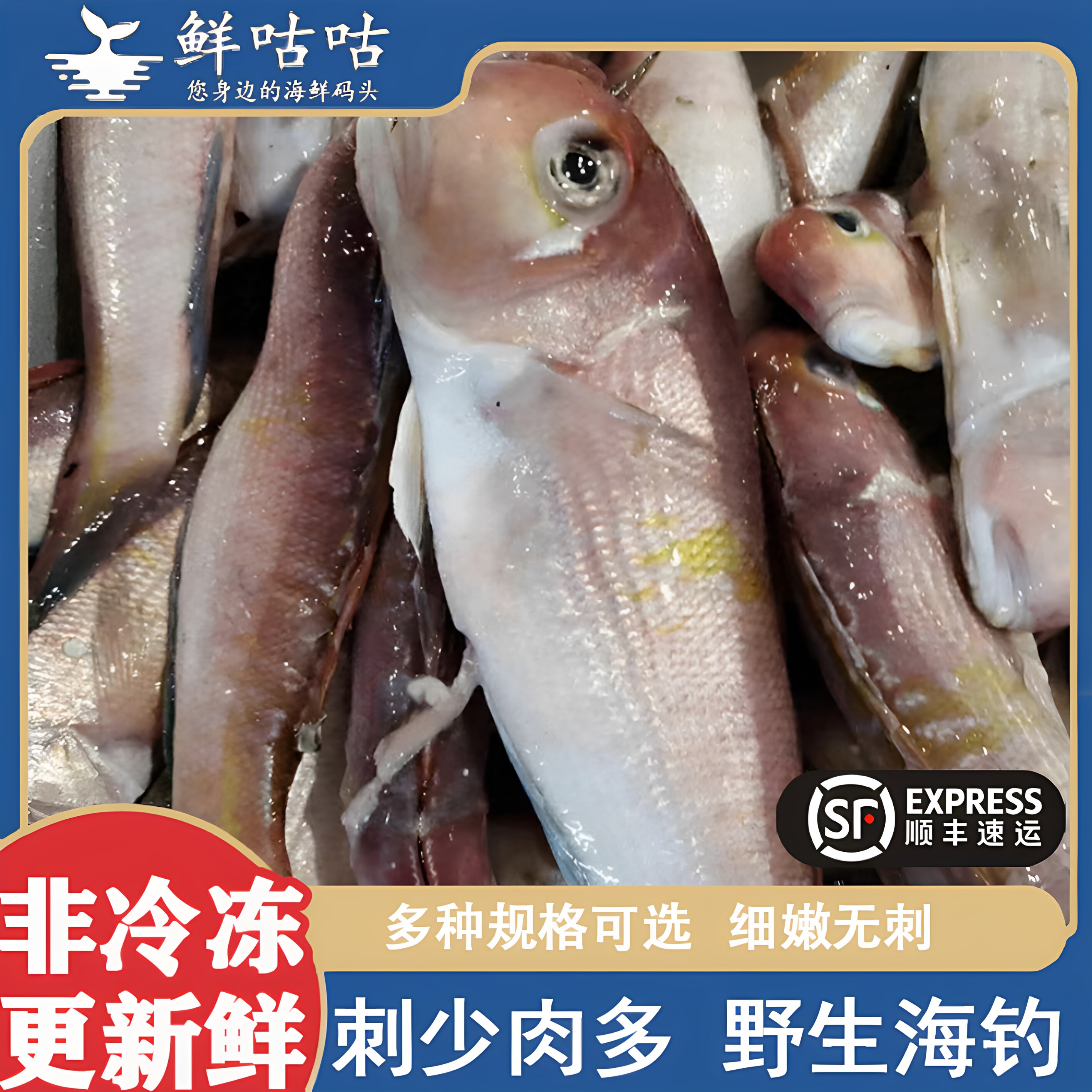 马头鱼方头鱼斧头鱼 新鲜冷冻海鲜水产 甘雕宁波舟山海鲜东海食用