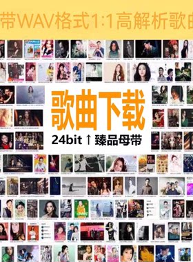 付费歌曲人工代下载MP3高品音质FLAC车载无损wav高清解析dsd资源