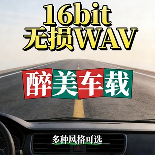 2025高端车载u盘HiFi高音质无损wav纯音乐发烧人声国粤语草原歌曲