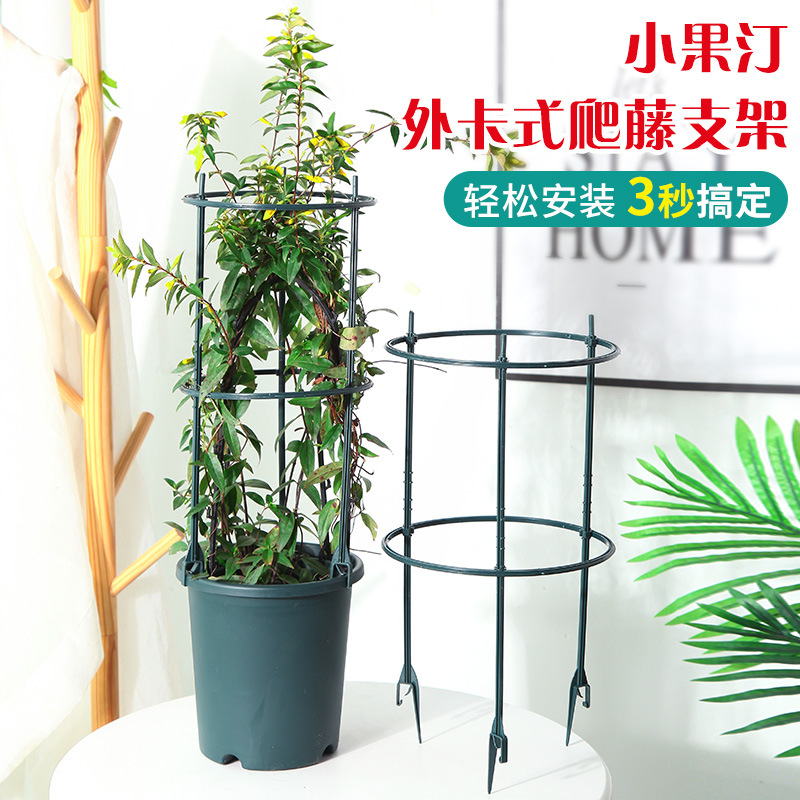 外插式爬藤架子花支架月季花架植物盆室内花卉支撑杆铁线莲爬