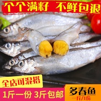 多春鱼 满籽带籽新鲜海鲜烧烤食材加拿大多籽鲜活水产