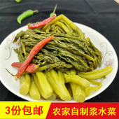 撩酸菜石泉浆水菜陕西岚皋特产泡菜汉阴酸菜辣油菜雪里红500g袋