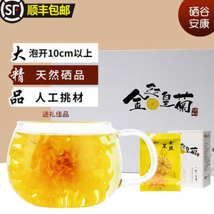 金丝皇菊陕西安康特产菊花茶
