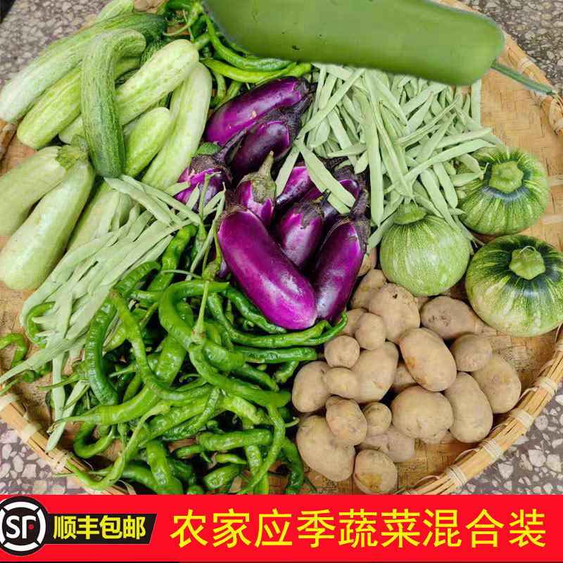 陕南安康石泉现摘农家应季蔬菜