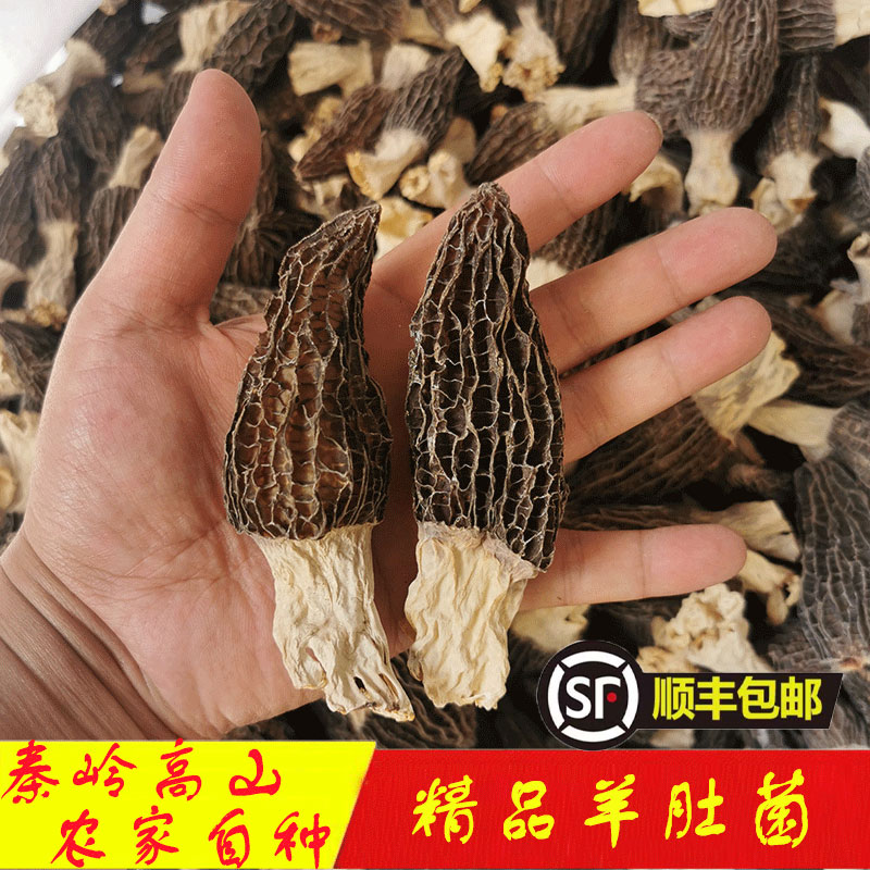 羊肚菌干货菌菇汤包食用菌菇类