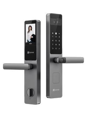 萤石智能锁DL20FVS人脸视频智能锁家用指纹锁猫眼远程只卖淮安