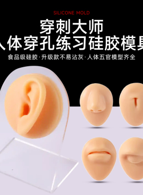 人体穿孔五官硅胶练习模型食品级