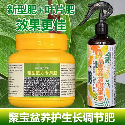 聚宝盆专用肥料花盆栽绿植专用土水培养护懒人花营养液叶面肥肥料