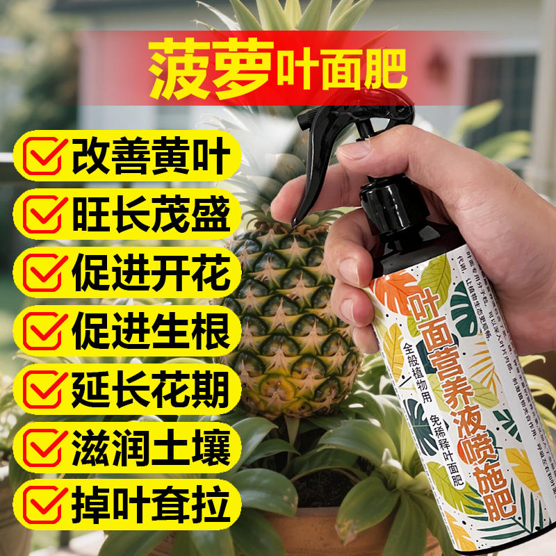 菠萝种植专用肥料盆栽植物枯黄营养液水培花卉水养下塌掉叶子肥料