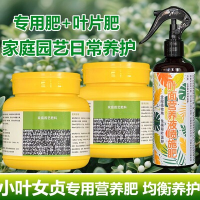 小叶女贞专用肥料树苗花肥土壤营养液旺长茂盛发芽促长新叶面肥料