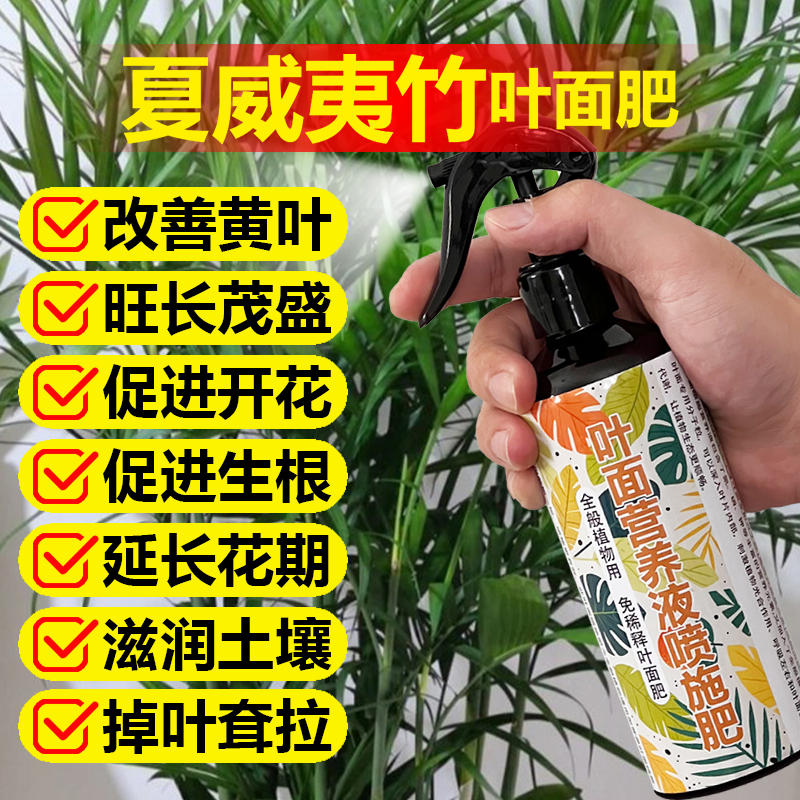 夏威夷竹专用肥料养殖花盆栽专用土养护叶面肥营养液喷剂叶面肥料