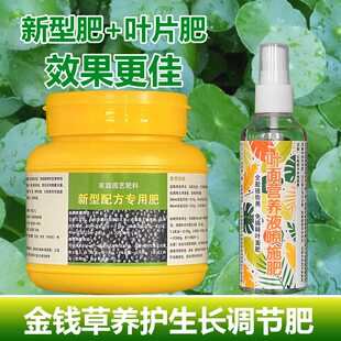 金钱草专用肥料水草养殖发芽盆栽绿植物旺长茂盛营养液喷施肥肥料