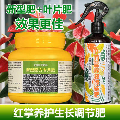红掌专用肥料水培盆栽室内植物营养液四季家用绿植喷施肥开花肥料