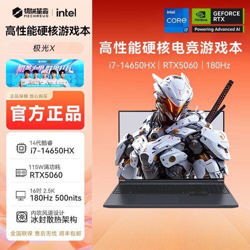 MECHREVO/机械革命极光X