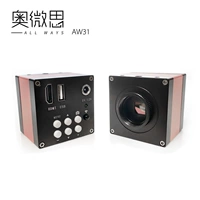 Pink AW31 Низкое заболевание