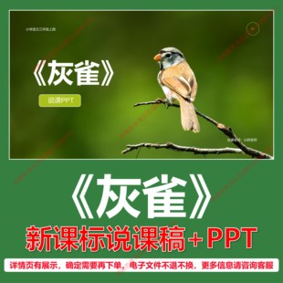 L47灰雀小学语文三年级下册第六单元逐字稿说课稿说课课件PPT