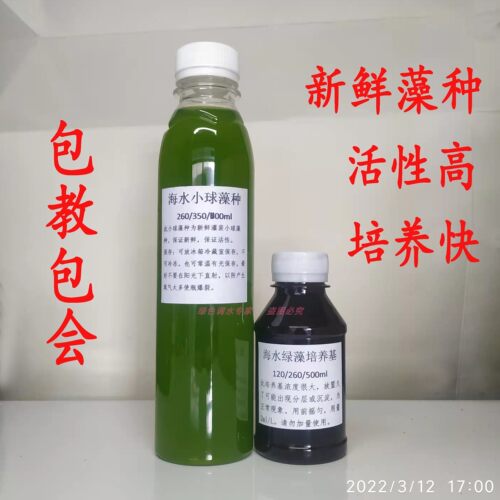 海水小球藻扩培套装活性高培养快