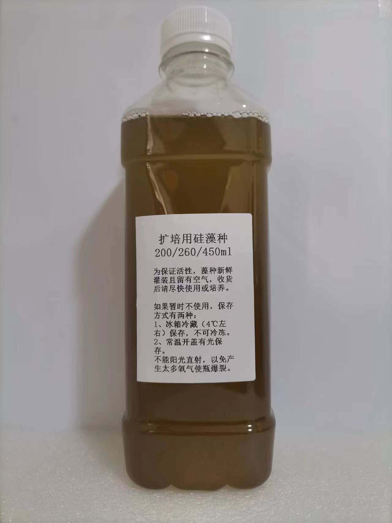 海水硅藻种硅藻培养基新月菱形藻角毛藻扩培用硅藻种淡水复合硅藻