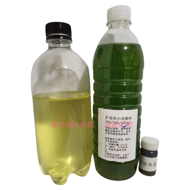 淡水轮虫海水轮虫种源小丑鱼水花珊瑚活饵开口饵料鱼虫萼花臂尾