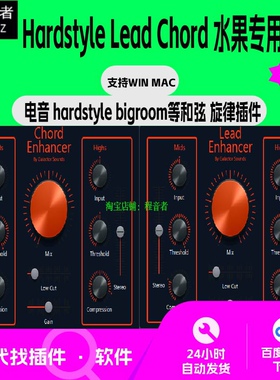 Hardstyle 和弦 旋律 Lead Chord 插件 宿主专用 拍前联系客服